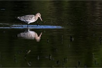 Z9 Grand Lavier 22-04-14 400  Photo A CG