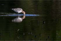 Z9 Grand Lavier 22-04-14 401  Photo A CG