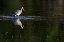 Z9 Grand Lavier 22-04-14 404  Photo A CG