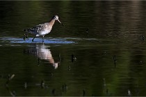 Z9 Grand Lavier 22-04-14 405  Photo A CG