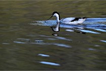 Z9 Grand Lavier 22-04-14 439  Photo A CG