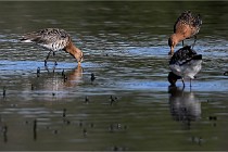 Z9 Grand Lavier 22-04-14 458  Photo A CG