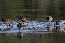 Z9 Grand Lavier 22-04-14 463  Photo A CG