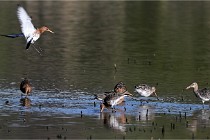 Z9 Grand Lavier 22-04-14 517  Photo A CG