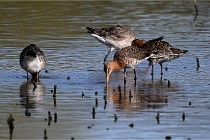 Z9 Grand Lavier 22-04-14 528  Photo A CG