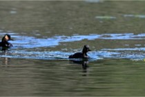 Z9 Grand Lavier 22-04-14 545  Photo A CG