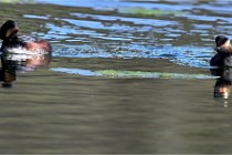 Z9 Grand Lavier 22-04-14 546  Photo A CG