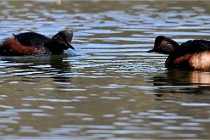 Z9 Grand Lavier 22-04-14 563  Photo A CG