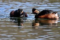 Z9 Grand Lavier 22-04-14 566  Photo A CG