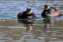 Z9 Grand Lavier 22-04-14 570  Photo A CG