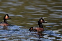 Z9 Grand Lavier 22-04-14 579  Photo A CG