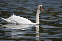 Z9 Grand Lavier 22-04-14 636  Photo A CG