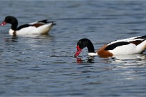 Z9 Grand Lavier 22-04-14 670  Photo A CG