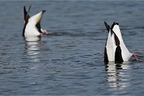 Z9 Grand Lavier 22-04-14 675  Photo A CG