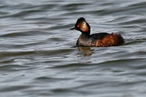 Z9 Grand Lavier 22-04-14 716  Photo A CG