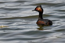 Z9 Grand Lavier 22-04-14 718  Photo A CG