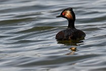 Z9 Grand Lavier 22-04-14 726  Photo A CG