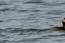 Z9 Grand Lavier 22-04-14 752  Photo A CG