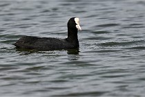 Z9 Grand Lavier 22-04-14 774  Photo A CG