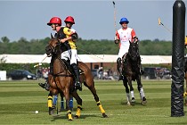 Z9PoloAppremont 22-05-02 635  Photo ACG