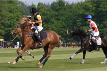 Z9PoloAppremont 22-05-02 641  Photo ACG