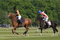 Z9PoloAppremont 22-05-02 643  Photo ACG