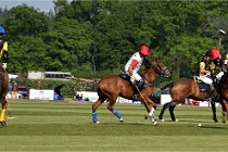 Z9PoloAppremont 22-05-02 683  Photo ACG