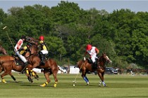 Z9PoloAppremont 22-05-02 687  Photo ACG