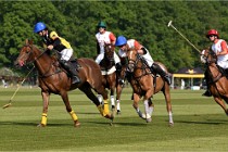 Z9PoloAppremont 22-05-02 700  Photo ACG