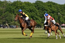 Z9PoloAppremont 22-05-02 701  Photo ACG