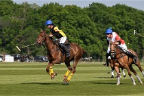 Z9PoloAppremont 22-05-02 702  Photo ACG