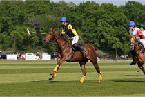 Z9PoloAppremont 22-05-02 703  Photo ACG