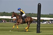 Z9PoloAppremont 22-05-02 722  Photo ACG