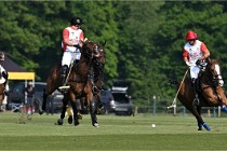 Z9PoloAppremont 22-05-02 847  Photo ACG