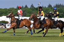 Z9PoloAppremont 22-05-02 938  Photo ACG