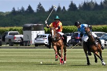 Z9PoloAppremont 22-05-06 0049  Photo ACG